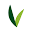 Kiva Health Food Icon