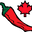 Chillychiles.com Icon