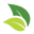 Onetabs.ca Icon
