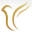 12steplifestyle.com Icon