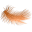 Plumehomedecor.com Icon