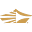 Carolinacrown.org Icon