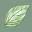 Organicobello.com Icon