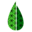 Leafshyp Icon