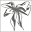 Alder Greek Gifts Icon
