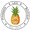 Pineapple Lain Boutique Icon