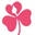 Pink Clover Icon