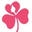 Pink Clover Icon