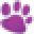 Dingo Icon