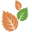 Noomadics.com Icon