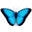 Workshopplus.com Icon