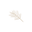 Madidaclothing.com Icon