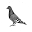 Kurier Icon