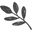 Shopfreeleaf.com Icon