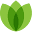 Heatinggreen Icon