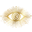 Gypseye.com.au Icon