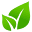 Barejapan.com Icon