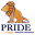 Pride Reading Program Icon