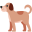 Sundays for Dogs Icon