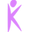 RiKaSysTemZ® Icon