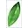 IF Tea Company Icon