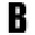 Botach Tactical Icon