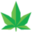 XpressGrass Icon