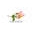 LIFANCE Skin Care Icon