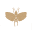 Mybugbar Icon