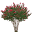 Crape Myrtle Guy Icon