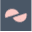 Cotidié Icon