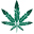 Native Seed Co. Icon