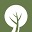 Fortytree Icon