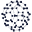 Nano Genesis Labs Icon