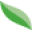 Ripar Icon