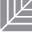 MGC Derma EU Icon
