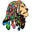 LionLocs Icon