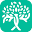Micappital Icon