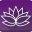 Thenewyorkmedium Icon