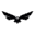 EU Drone Icon