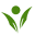 Holistik Nature Icon