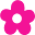 Pink Poppy Icon