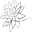 Kavella Home Icon