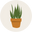Dans un Jardin Icon