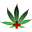 iHealCBD.com Icon