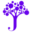 Jacaranda Finance Icon