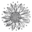 Jupiter Botanics Icon