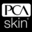 PCA Skin Icon