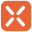 Rexing Icon