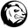 Raydlinx Icon